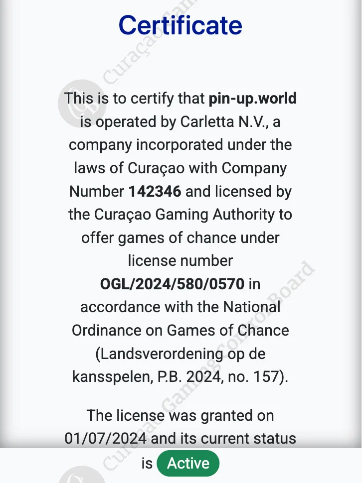 Certificate Nubmer 142346 Pin Up Casino India